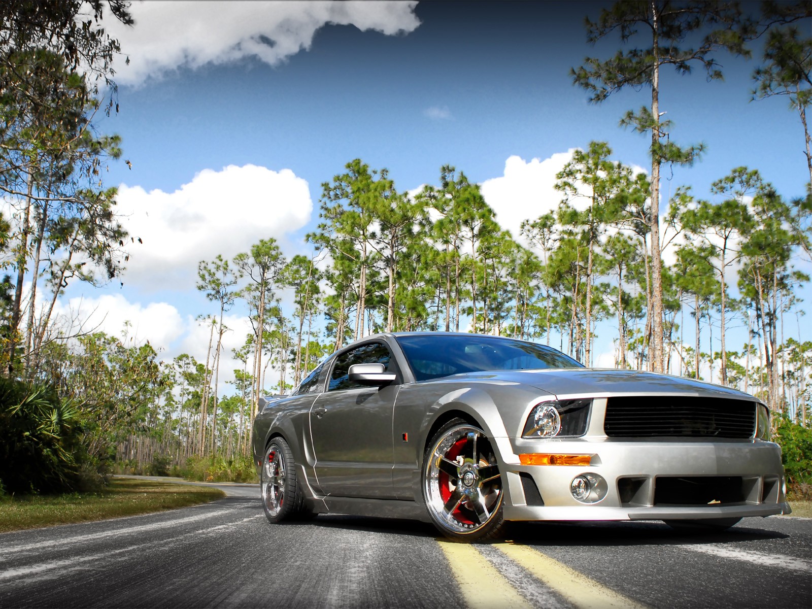 mustang muscle tuning