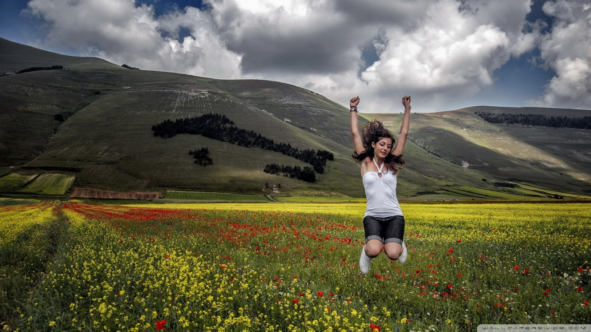 natur im sommer