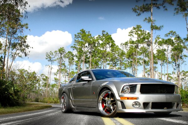 Auto Mustang nel colore grigio sulla strada di campagna