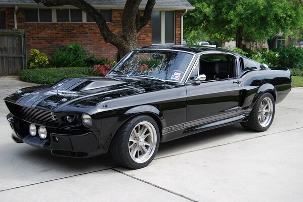 Ford Mustang gt500 noir près de la cour privée