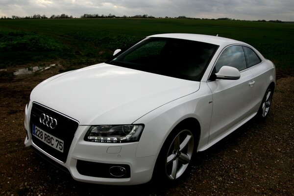 White audi a5 quattro coupe