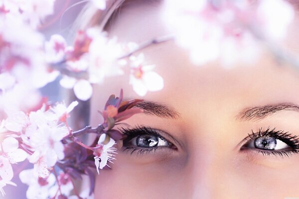 Sakura y la niña de las flores