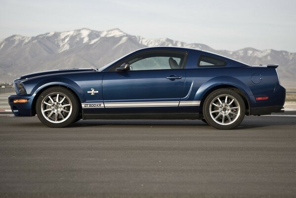 Mustang gt 500 dziki jak natura