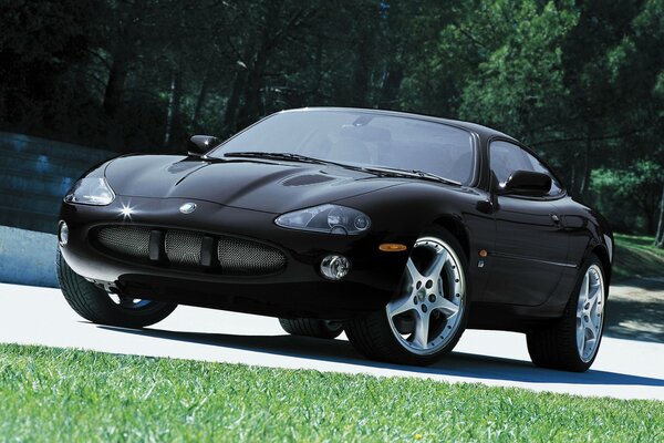Jaguar negro es un coche muy caro