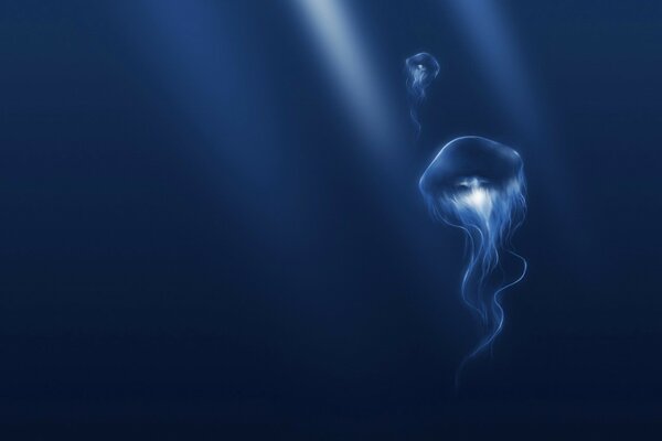 Медуза в темно синем море