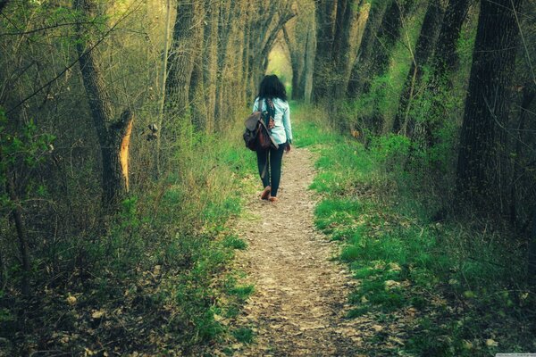 Der Weg durch den Wald in Armenien