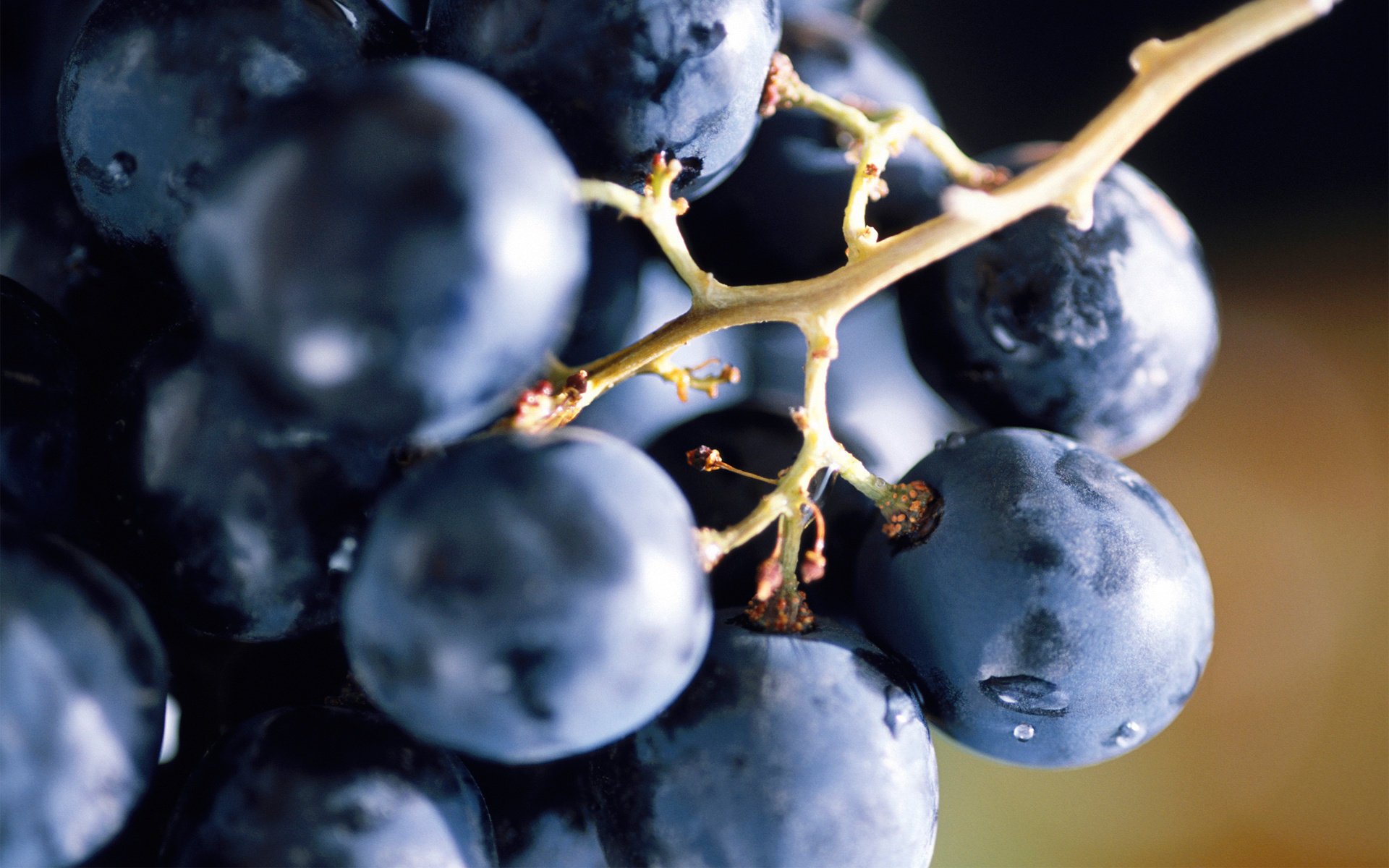 grapes fruit form macro