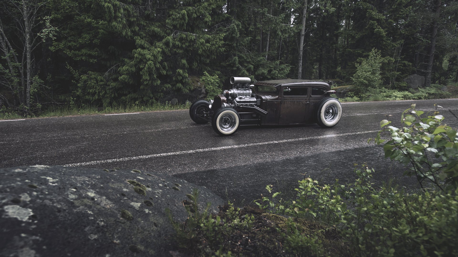 ford rost ratten stab ratte rod wald regen