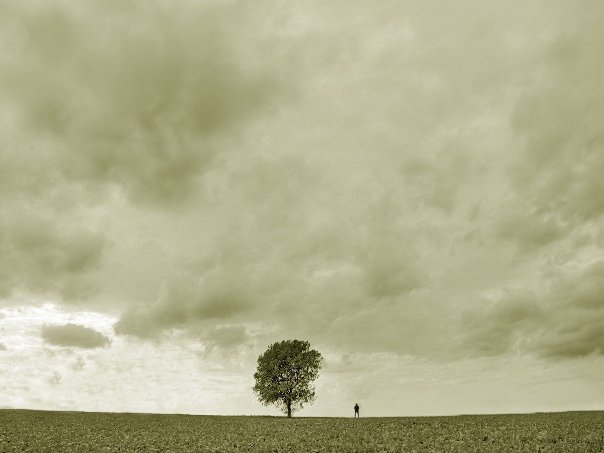 albero uomo tristezza