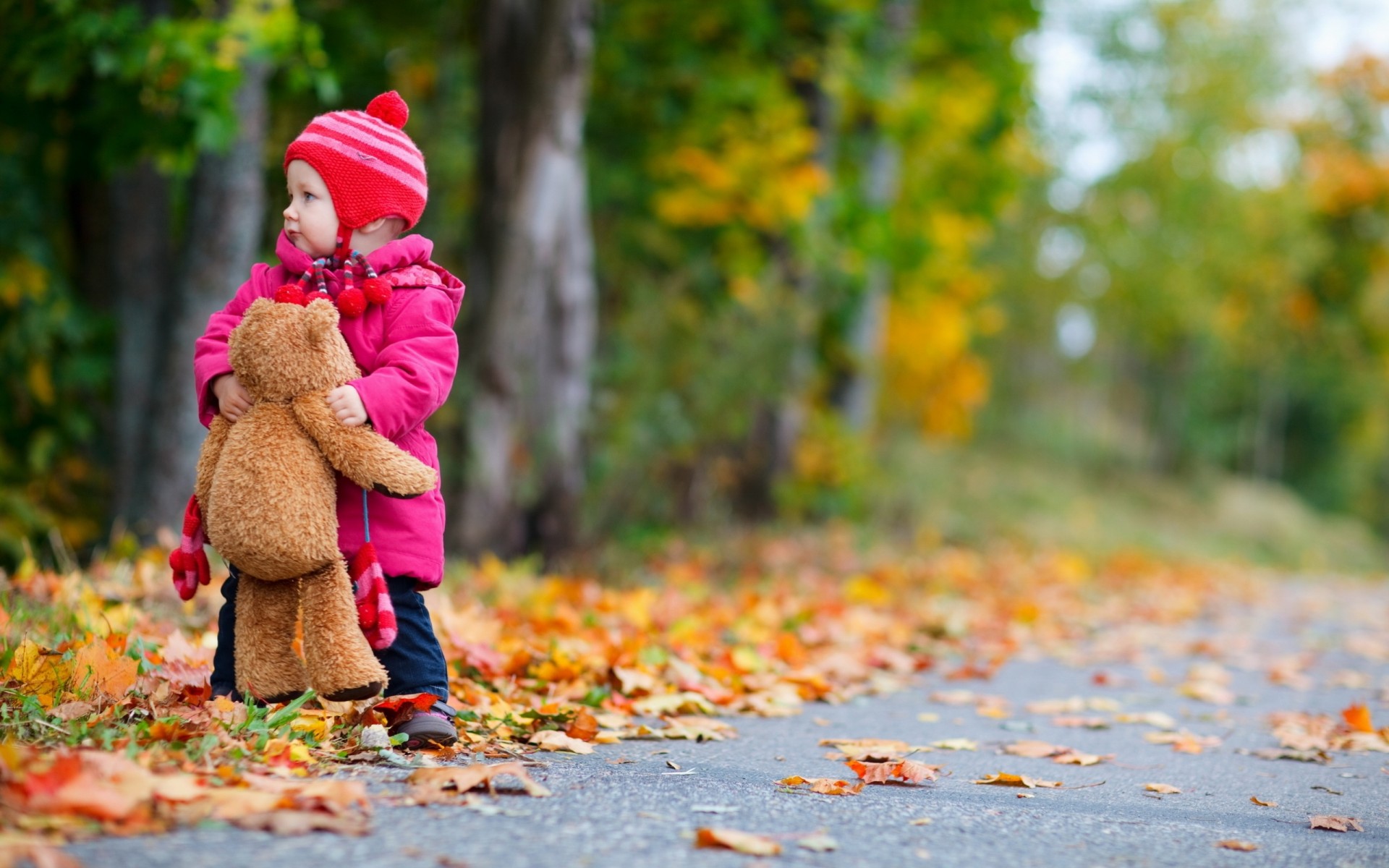 infancia niña árboles oso de peluche camino bebé niños