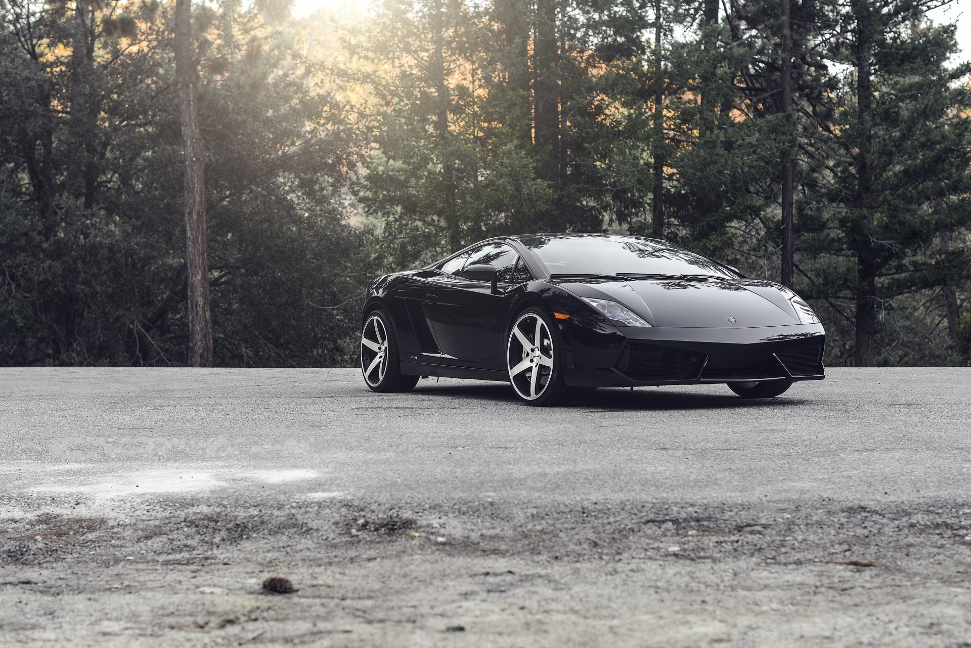 lamborghini gallardo lp560-4 negro lamborghini gaiardo reflexión árboles