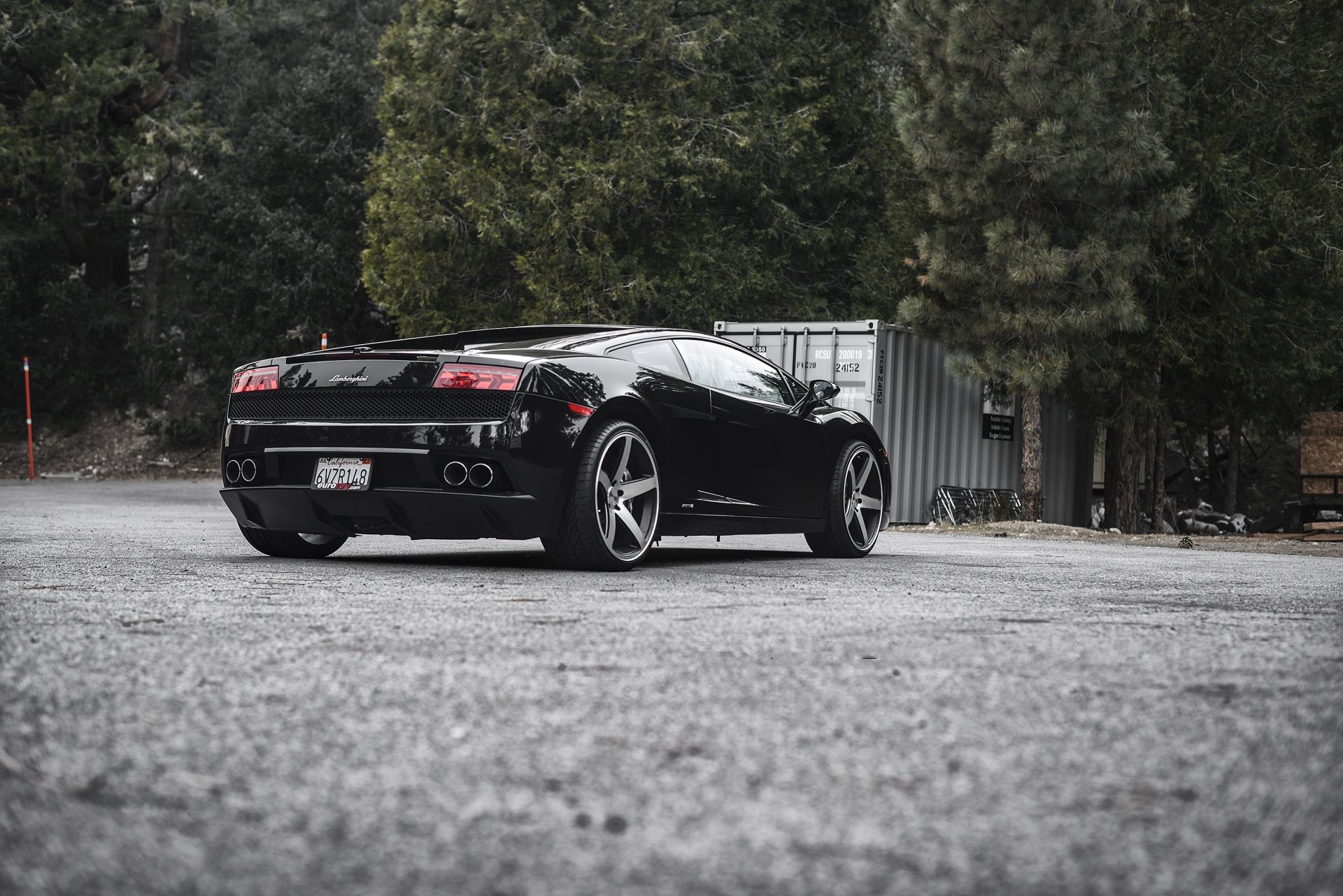 lamborghini gallardo lp560-4 nero lamborghini gaillardo zadok alberi