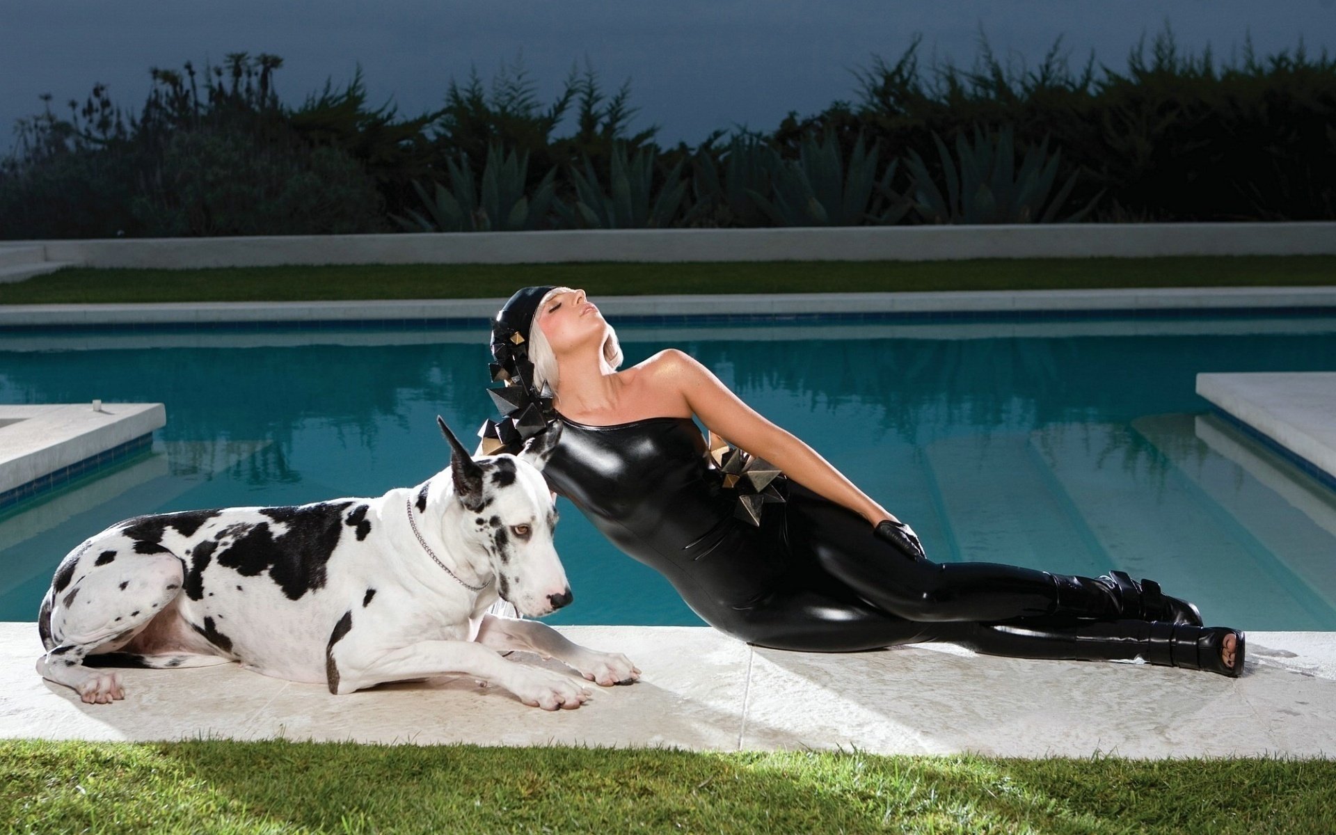 latex girl lady gaga pool night dog star celebrity singer grass lawn evening black suit epic headdress blonde sexy erotica bushes dog water models women animals dogs woof-woof-ry-ry