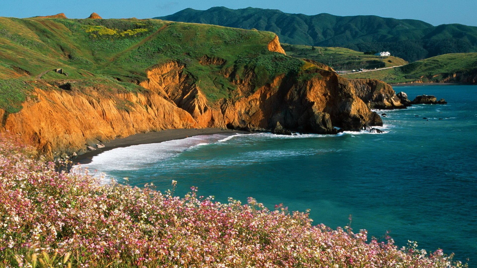 fiori grano saraceno scogliera rocce mare strada montagne erba alberi natura paesaggio cielo surf onde costa terreno paesaggio acqua altitudine verde piante