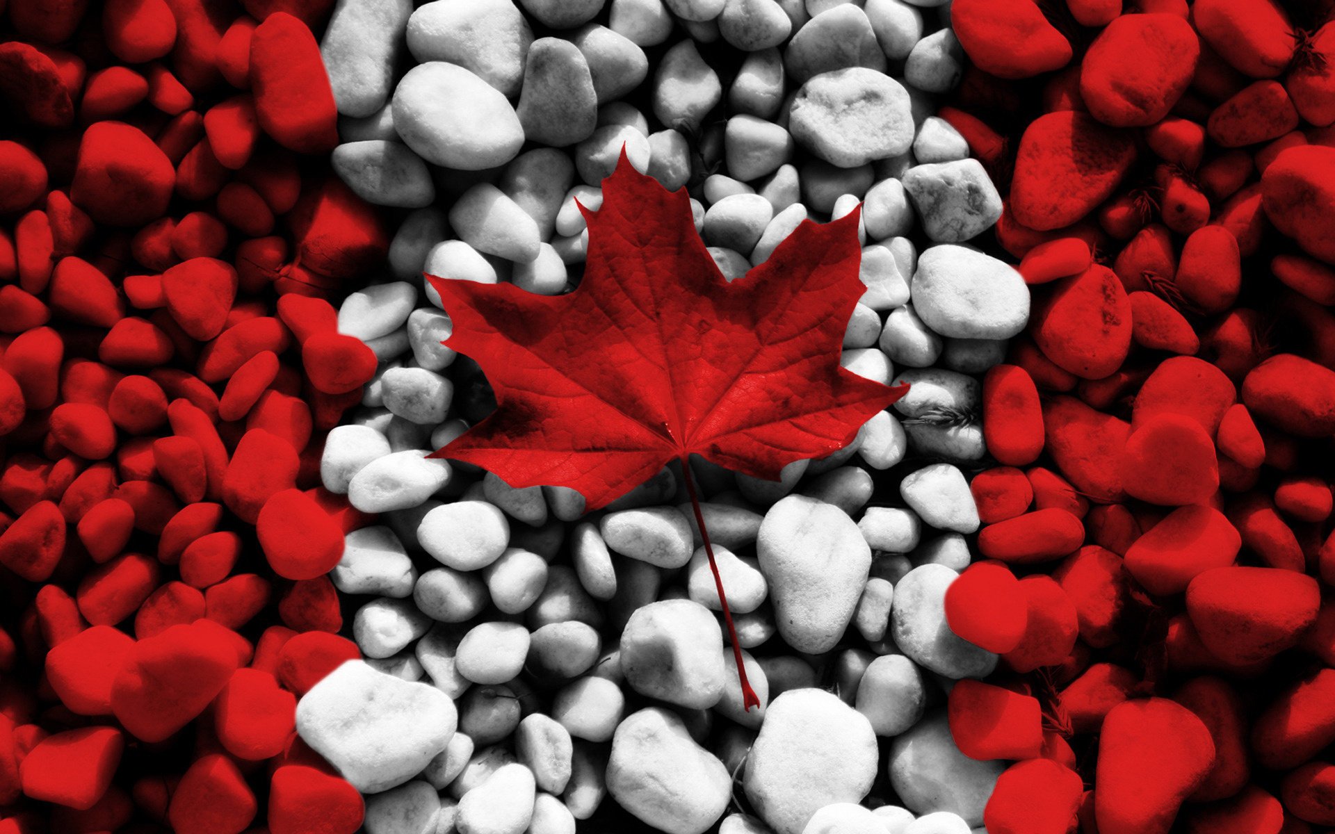 texture canada canada textures maple leaf flag