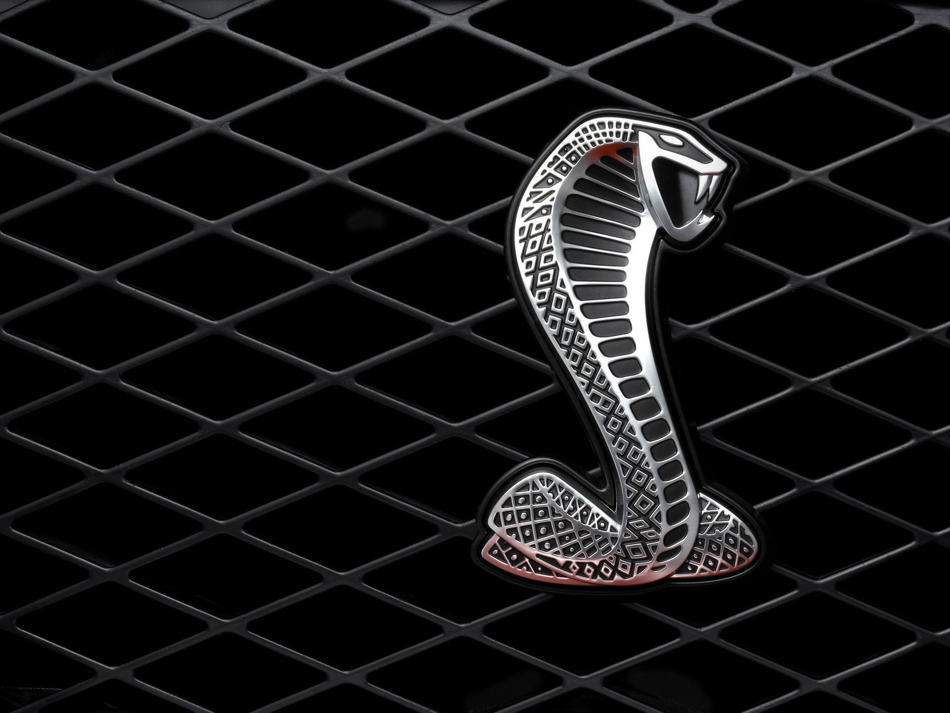 nake grille metal