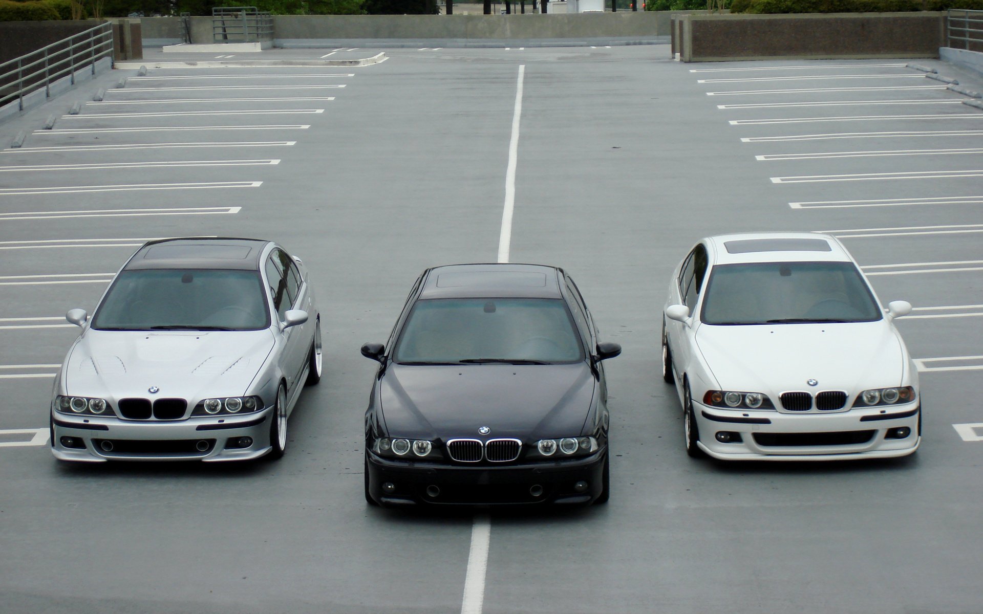 negro bmw e39 5 series bmw cinco m3 blanco plata alemania baviera m5