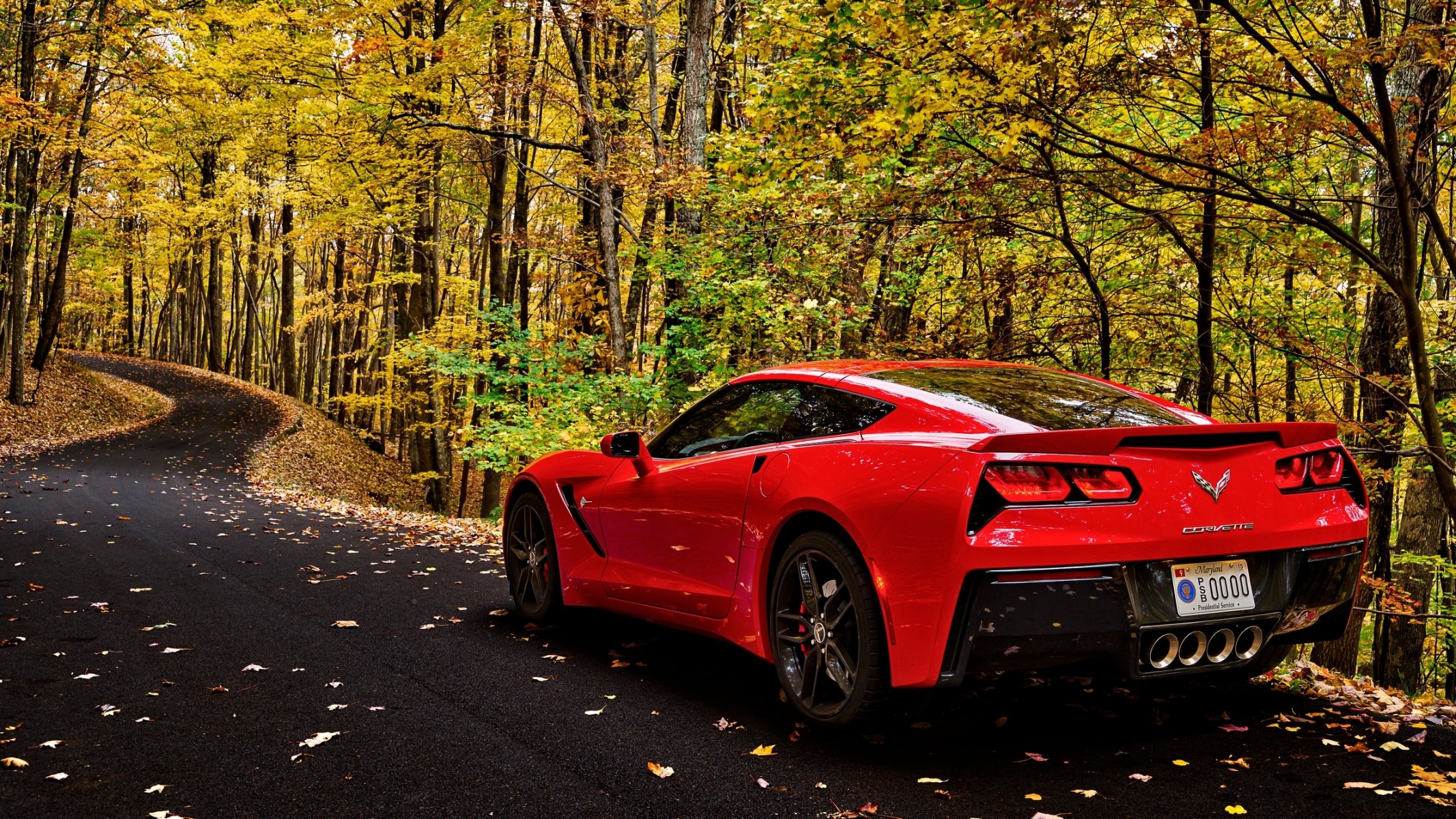 chevrolet corvette forest autumn leaves trees road car nature