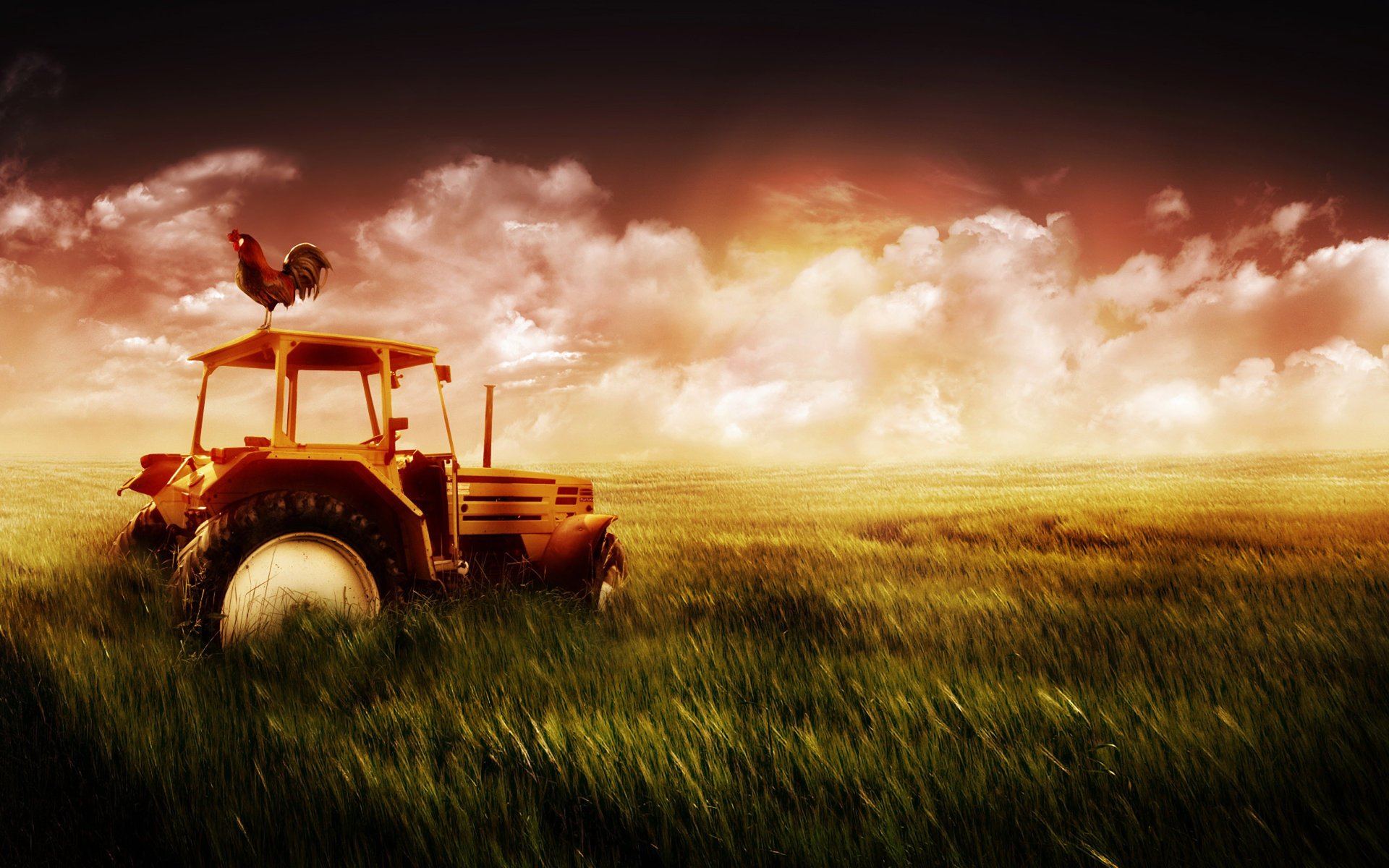 the old farm machinery tractor field grass bird rooster sky clouds sunset evening clouds cars drawings anime