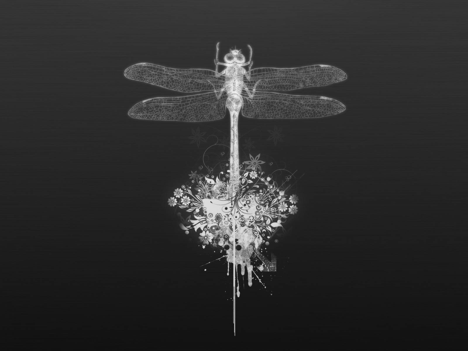 minimalism dragonfly vector