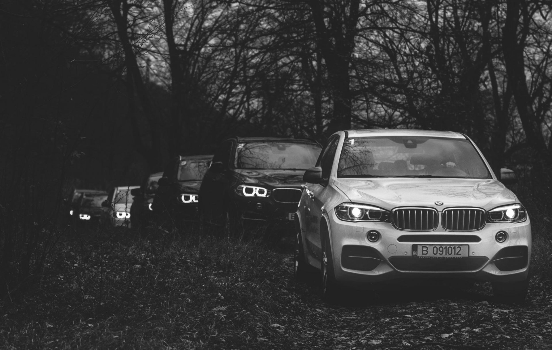 bmw x5 bmw foresta jeep