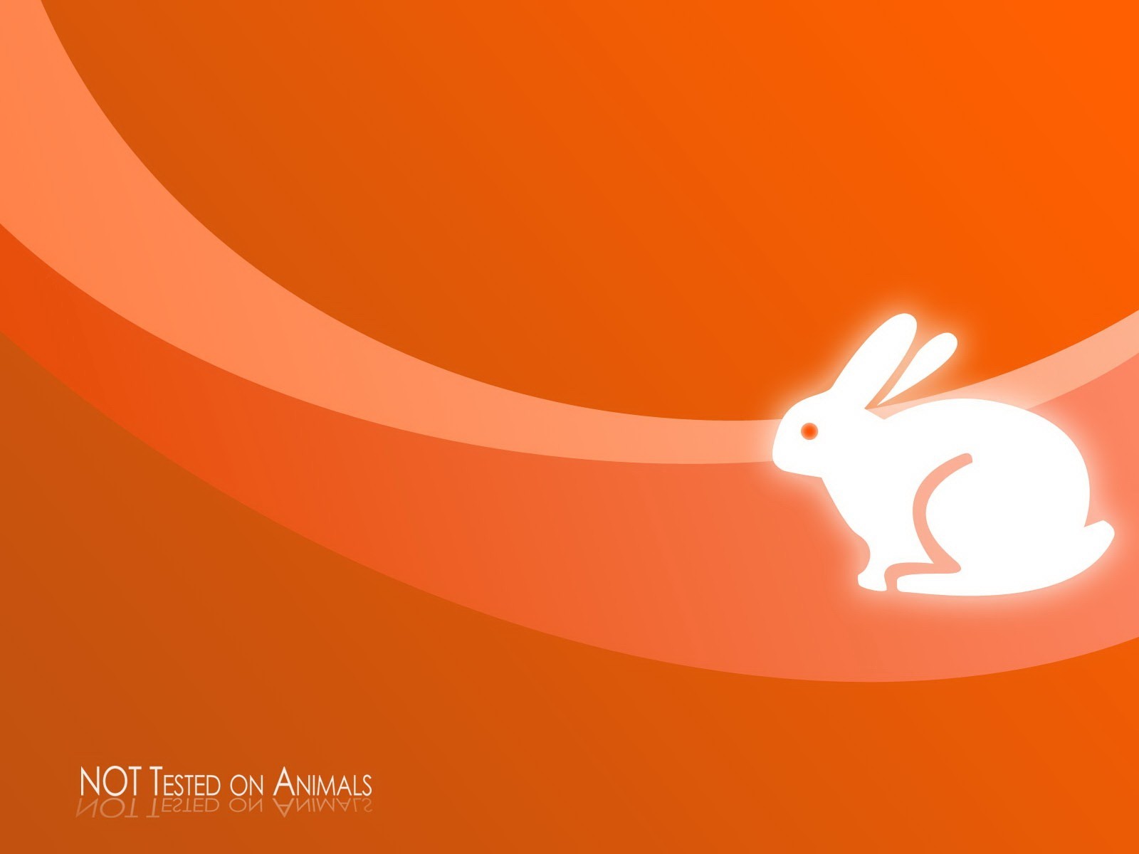 orange rabbit minimalism