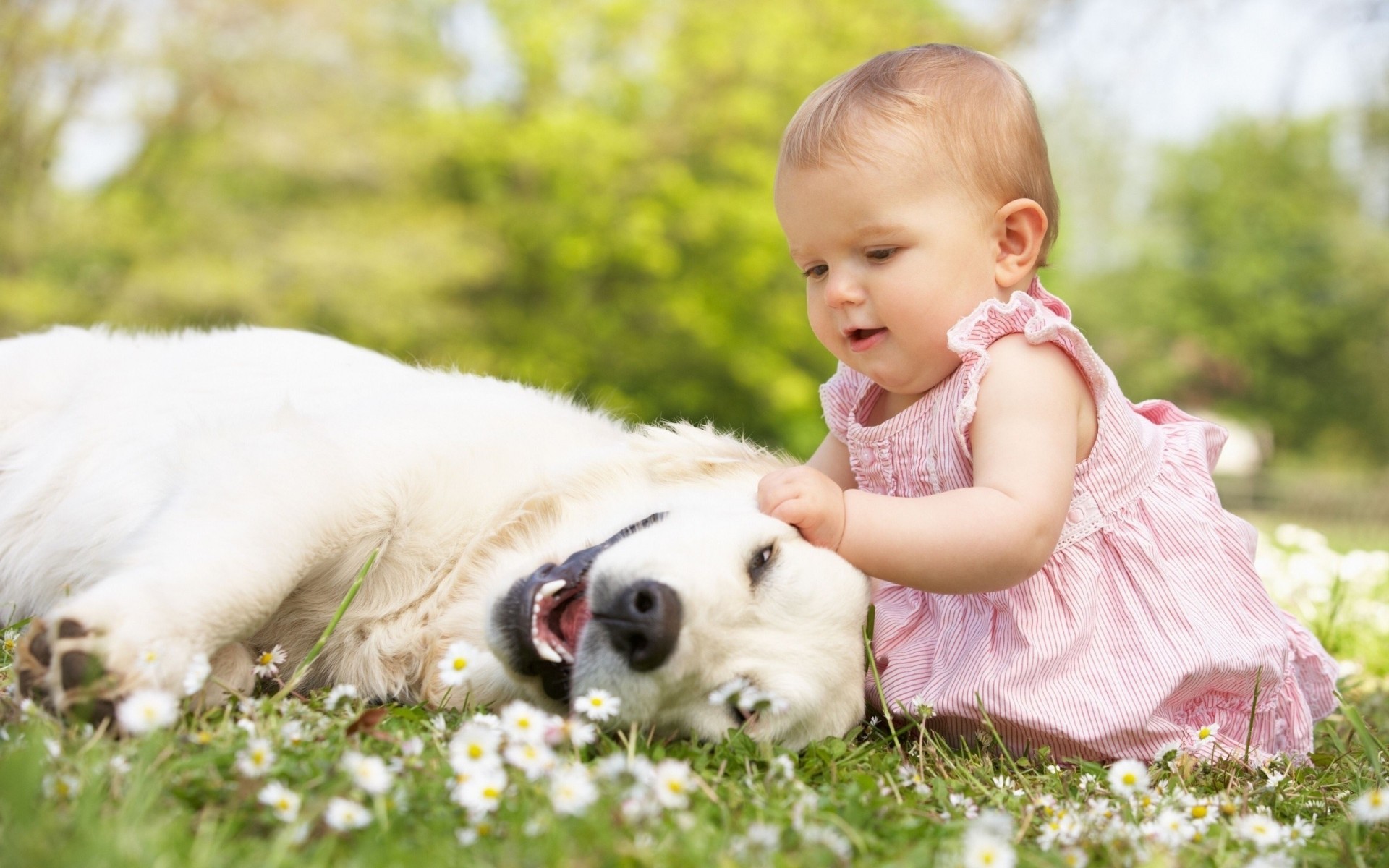 positivo chica naturaleza perro bebé foto flores super amistad