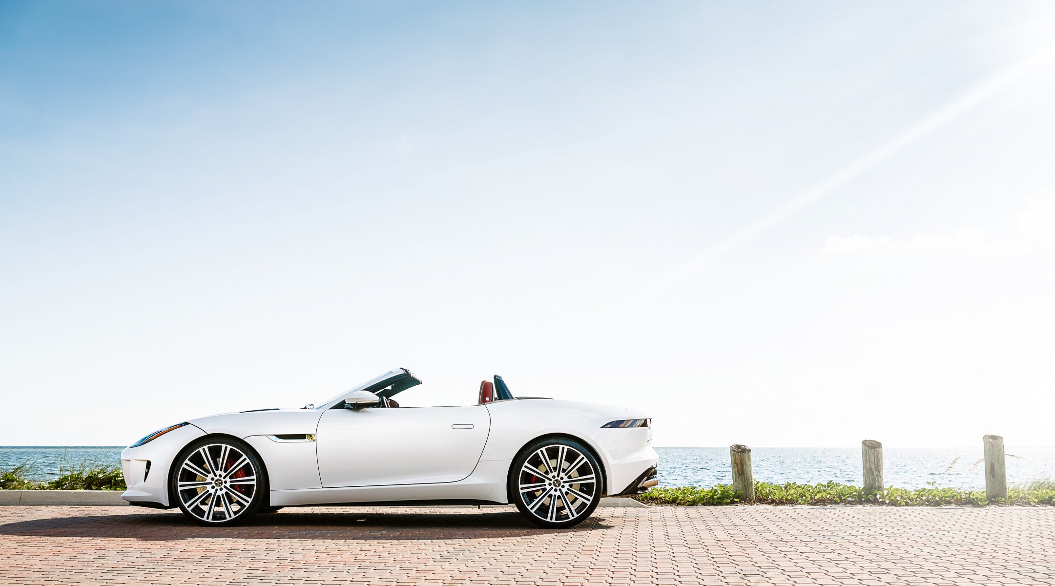 jaguar f-type white profile