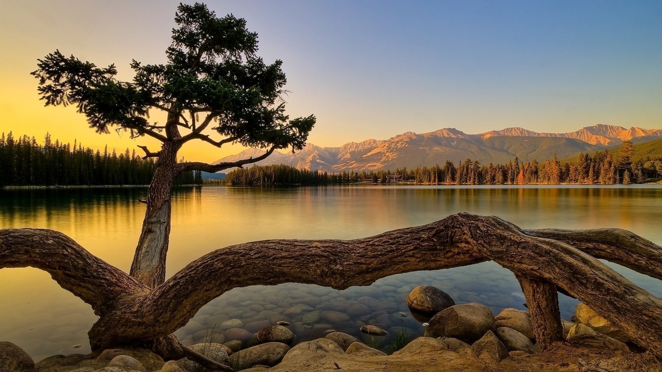 arbre coucher de soleil paysage nature soir surface eau pierres fond montagnes forêt arbres bois flotté tronc ciel silence calme lac rive