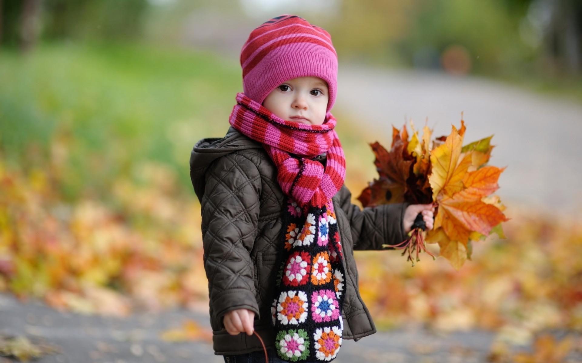 hoja niño infancia niños bebé niño otoño