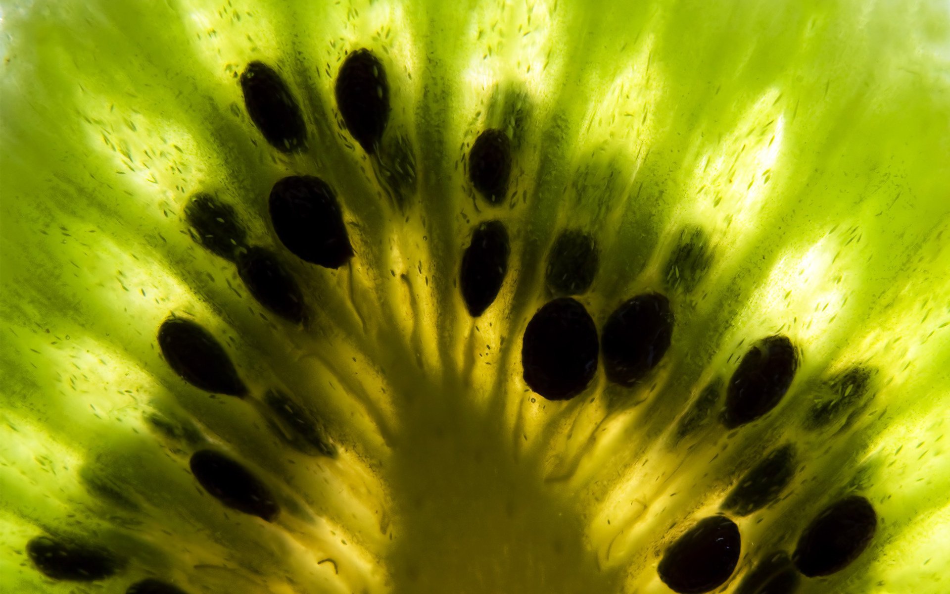 fruta kiwi verde estructura luz macro