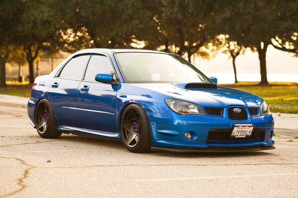 Subaru sea-green on a background of trees