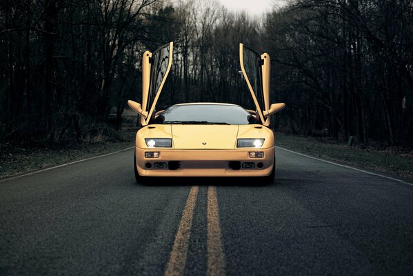 Lamborghini amarillo en el medio de la carretera