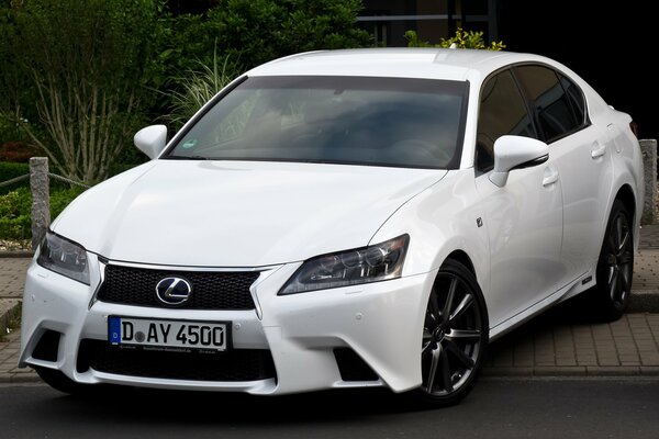 Blanc beau Lexus dans le jardin