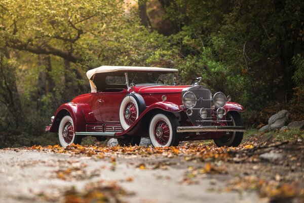 Coche antiguo de pie en la naturaleza