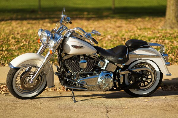 Standing motorcycle on the background of a clearing