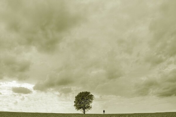 Un hombre triste cerca de un árbol solitario