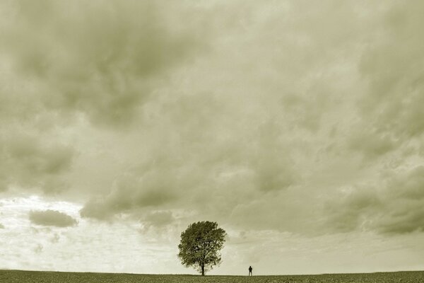 Homme triste près d un arbre solitaire