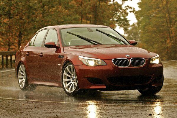 BMW rojo en la carretera húmeda de otoño