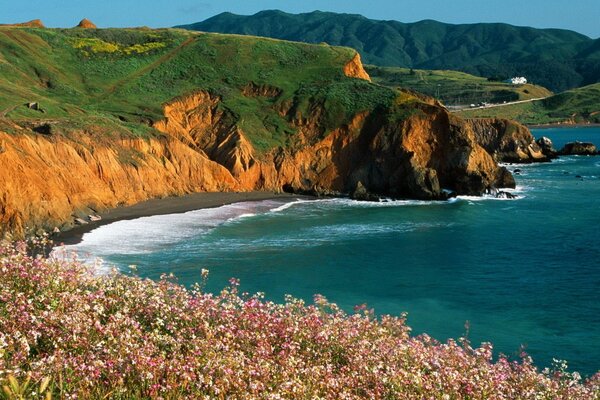 Vista del surf dal campo, con fiori di grano saraceno