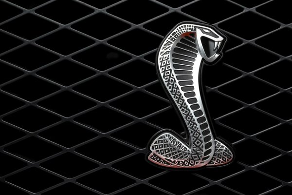 Metal snake on the background of the grid