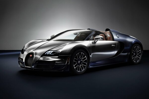 Voiture Bugatti veyron 2014