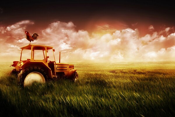 Tractor on the background of a picturesque sunset