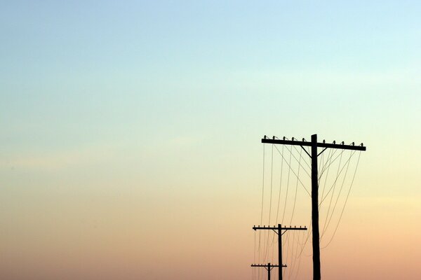 Poles with wires in a pink-blue sky