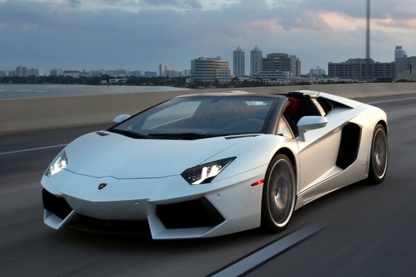 Lamborghini Aventador bianco su sfondo strada celeste