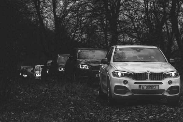 Voitures BMW dans une colonne dans la forêt