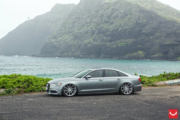 Audi A6 in Grau am Ufer Seitenansicht