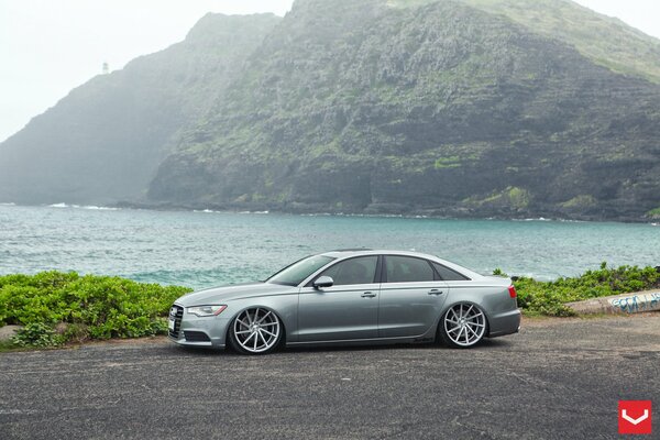 Audi A6 grey on the shore of a pond side view