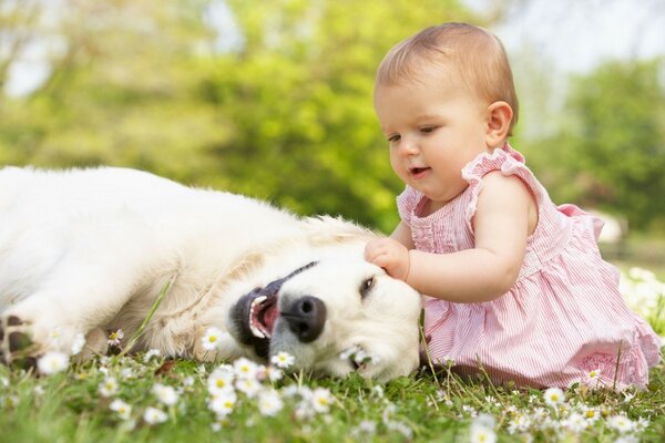 Positive Tapete Baby mit hundauf dem Rasen mit Blumen super Freundschaft