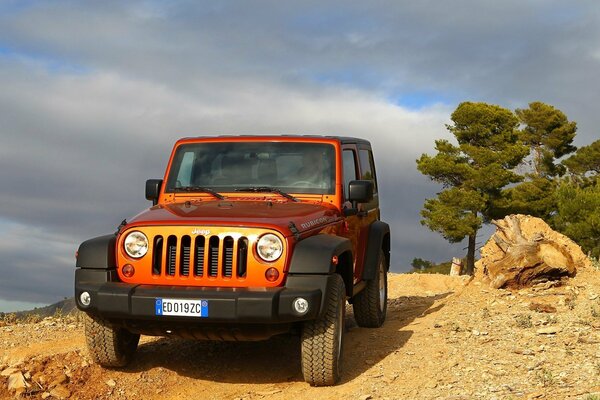 Jeep de color naranja de pie sobre una astilla en el fondo de un pino y una enorme piedra